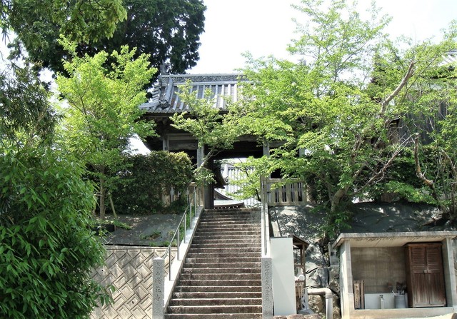 １山門（２８－３１１４）蓮花寺 (1).JPG