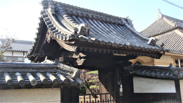 1山門(29-358)浄国寺 (2).JPG