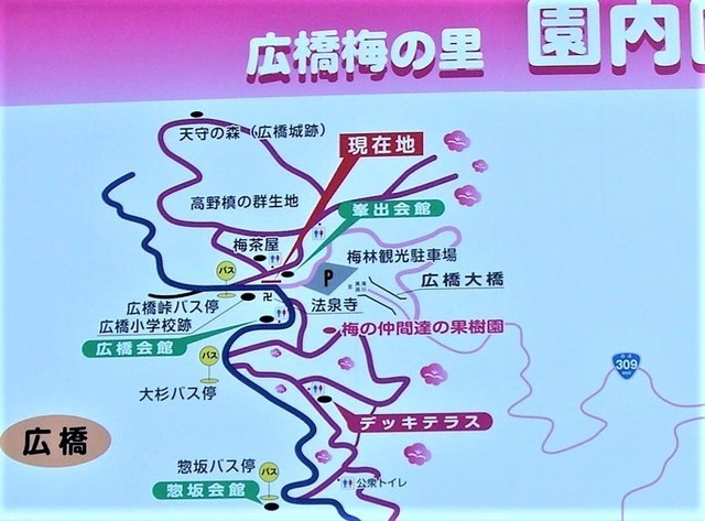1広橋梅林案内図DSC03435広橋梅林 (8).JPG