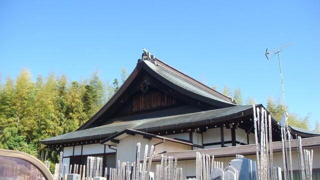 1本堂(26-17034)法雲寺 (7).JPG