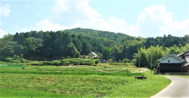1毘沙門寺遠景(24-1257)毘沙門寺 (2).JPG