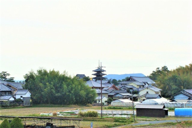 1法隆寺五重塔(29-509)浄念寺 (7).JPG