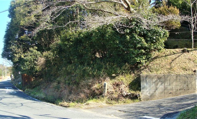 1県道72号中央に道標右に入る(29-588)中村延命地蔵 (14).JPG
