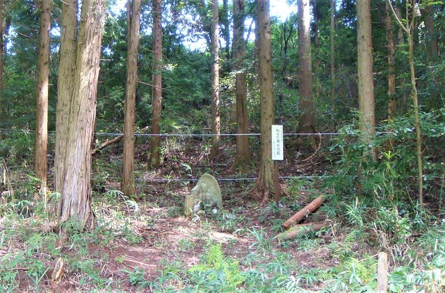 1石仏(24-1299-22)相田地蔵前地蔵 (12).JPG