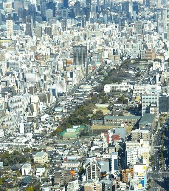 1緑地帯左に下寺町DSC01606.JPG