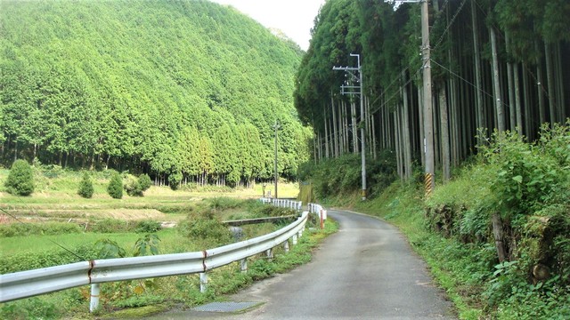 1蔵王寺へ(29-755)蔵王寺龍峯院 (2).JPG