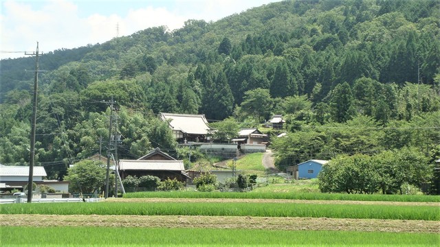 1遠景(24-1258)地福寺 (4).JPG