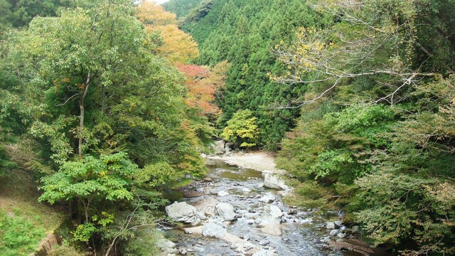 1高見川(29-859)宝蔵寺 (2).JPG