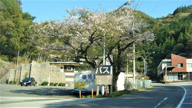 1龍河洞(39-1301)恵日寺 (1).JPG