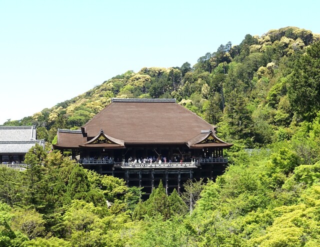 １１本堂DSC05518清水寺 (111).JPG