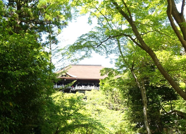 １２本堂DSC05518清水寺 (119).JPG
