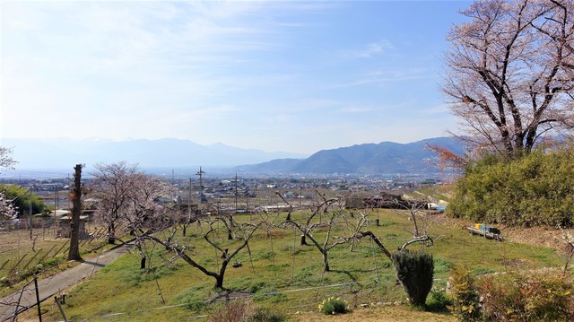 13境内から(19-2307)広厳院 (29).JPG