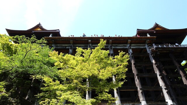 １４本堂舞台DSC05518清水寺 (132).JPG