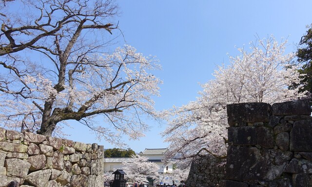16DSC04087.JPG