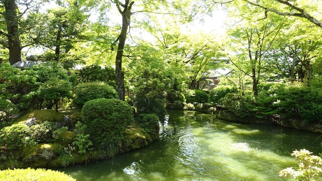 １６DSC05518清水寺 (145).JPG