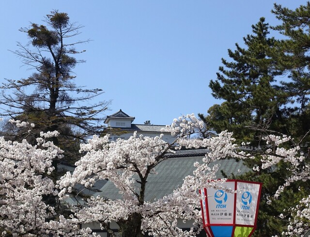 17DSC04096.JPG