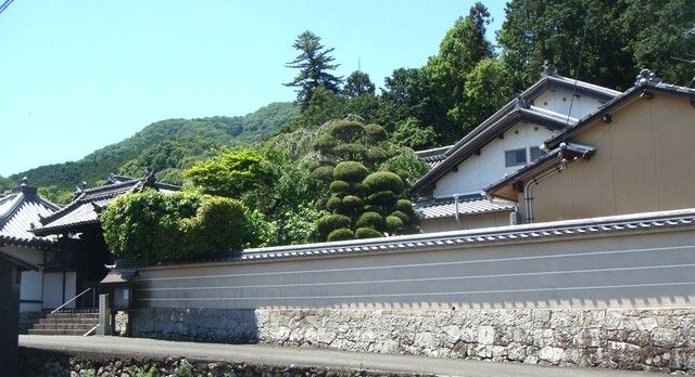 2DSC06868専称寺 (13).JPG