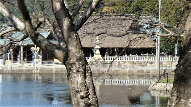 2兵主神社(28-4107)極楽寺 (12).JPG
