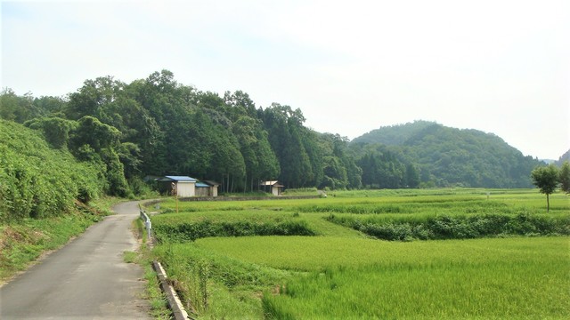 2前方へ(24-1299-22)相田地蔵前地蔵 (4).JPG