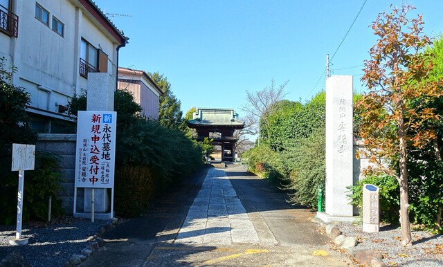 2参道DSC03183安穏寺 (2).JPG