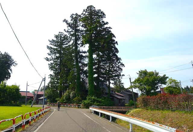 2周辺DSC09361国巌寺 (1).JPG