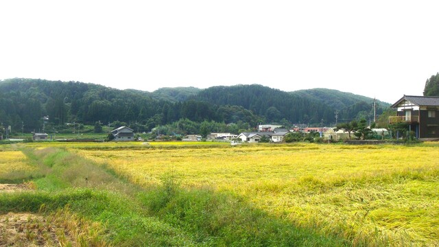 2周辺(17-2613)徳宝寺 (13).JPG