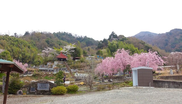 2境内(19-2016)敬泉寺 (21).JPG