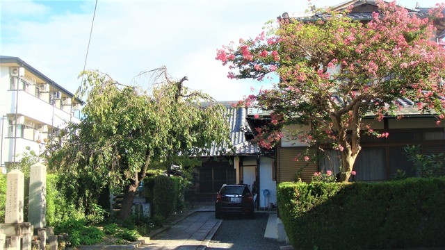 2境内(26-58111)卒台寺 (4).JPG