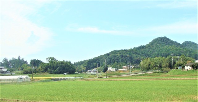 2大原野地区(28-0514)阿弥陀寺 (4).JPG