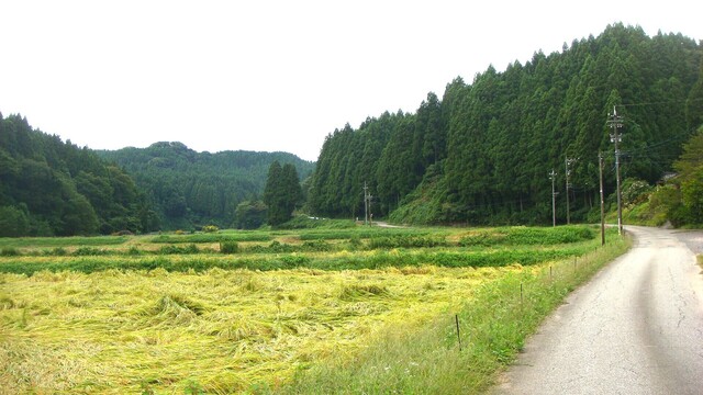 2大沢町から門前町へ(17-2517)得蔵寺 (1).JPG