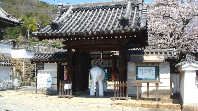 2山門と白象像(34-0126)明円寺 (3).JPG