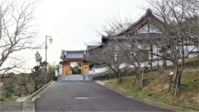 2山門(29-509)浄念寺 (2).JPG