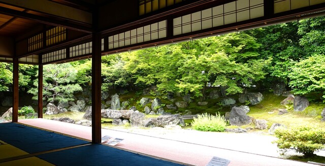 2庭園DSC07069円徳院 (11).JPG