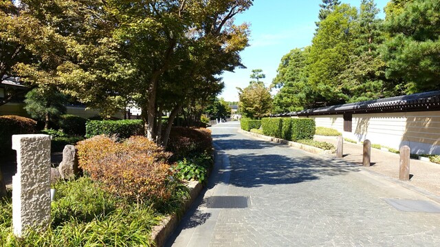 2承天寺通りDSC01897祥勝院 (2).JPG