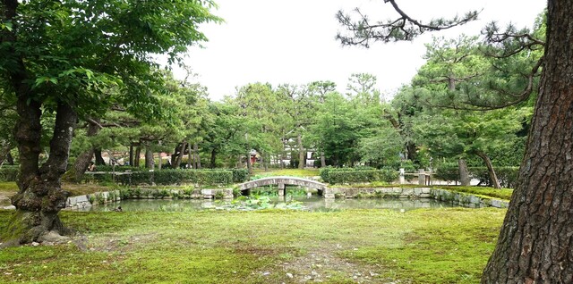 2放生池DSC07229建仁寺 (5).JPG