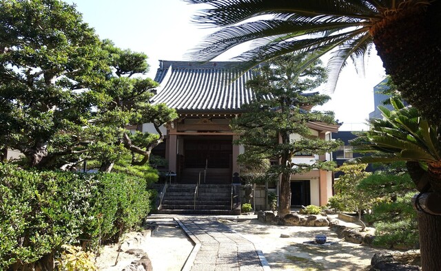 2本堂DSC02633安楽寺 (17).JPG