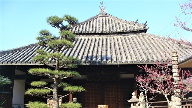 2本堂(29-358)浄国寺 (6).JPG