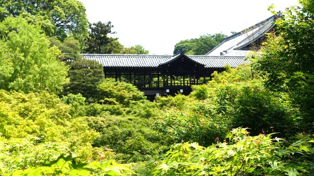２臥雲橋から通天橋DSC05945東福寺 (114).JPG
