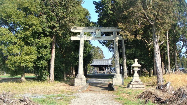 ２藤田神社（２８－４９０５）薬師寺跡 (19).JPG