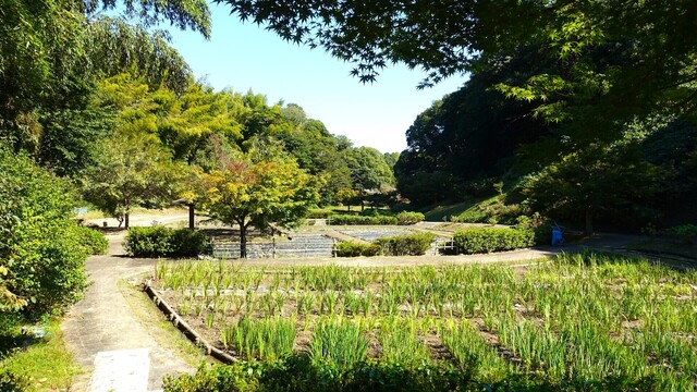 3亀山公園DSC01357亀山公園 (1).JPG