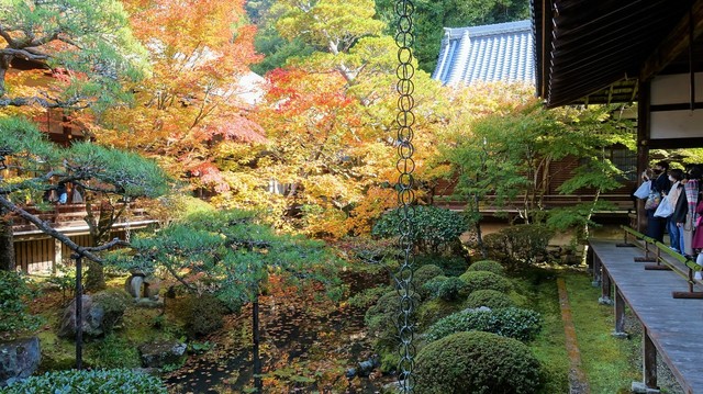 ３古方丈庭園（２６－１０７５）永観堂 (2).JPG