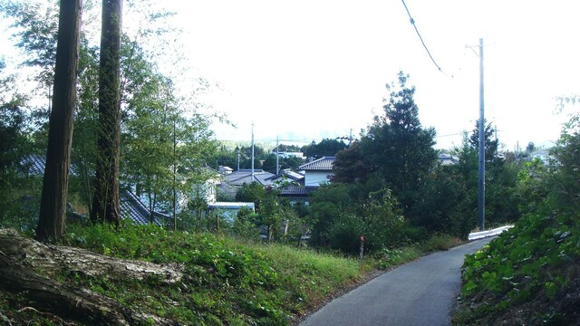 3周辺(20-4552)松林寺 (19).JPG