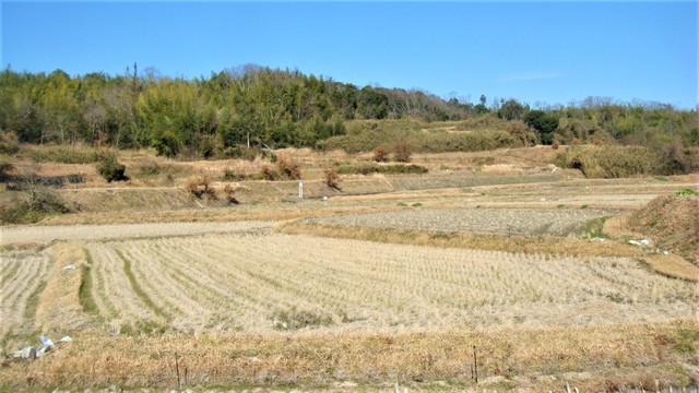 3周辺(29-588)中村延命地蔵 (16).JPG