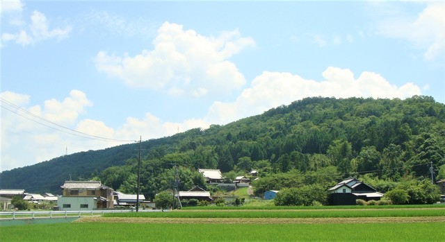 3地福寺遠景(24-1258)地福寺 (3).JPG