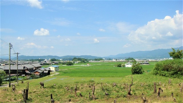 3境内から(24-1257)毘沙門寺 (7).JPG