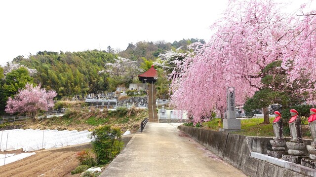 3境内(19-2016)敬泉寺 (15).JPG