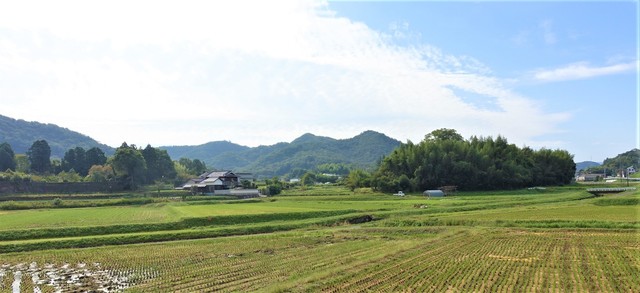 3大原野地区(28-0514)阿弥陀寺 (18).JPG
