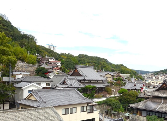 3妙宣寺遠景DSC06160.JPG