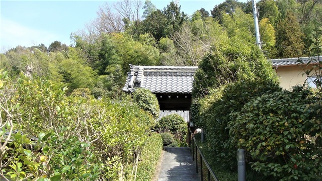 3山門(26-45015)明教寺 (5).JPG