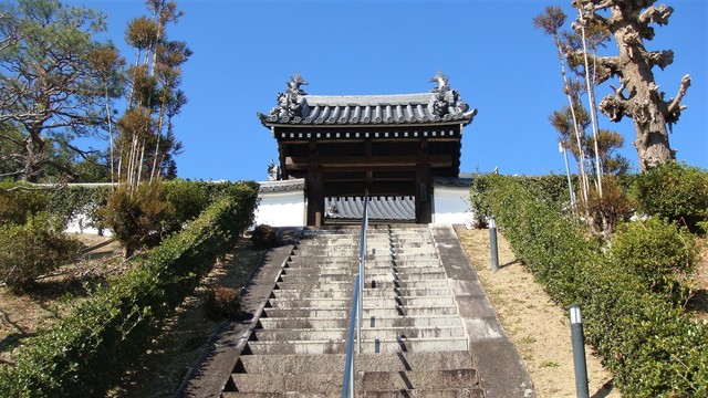 3山門(29-587)阿弥陀寺 (2).JPG